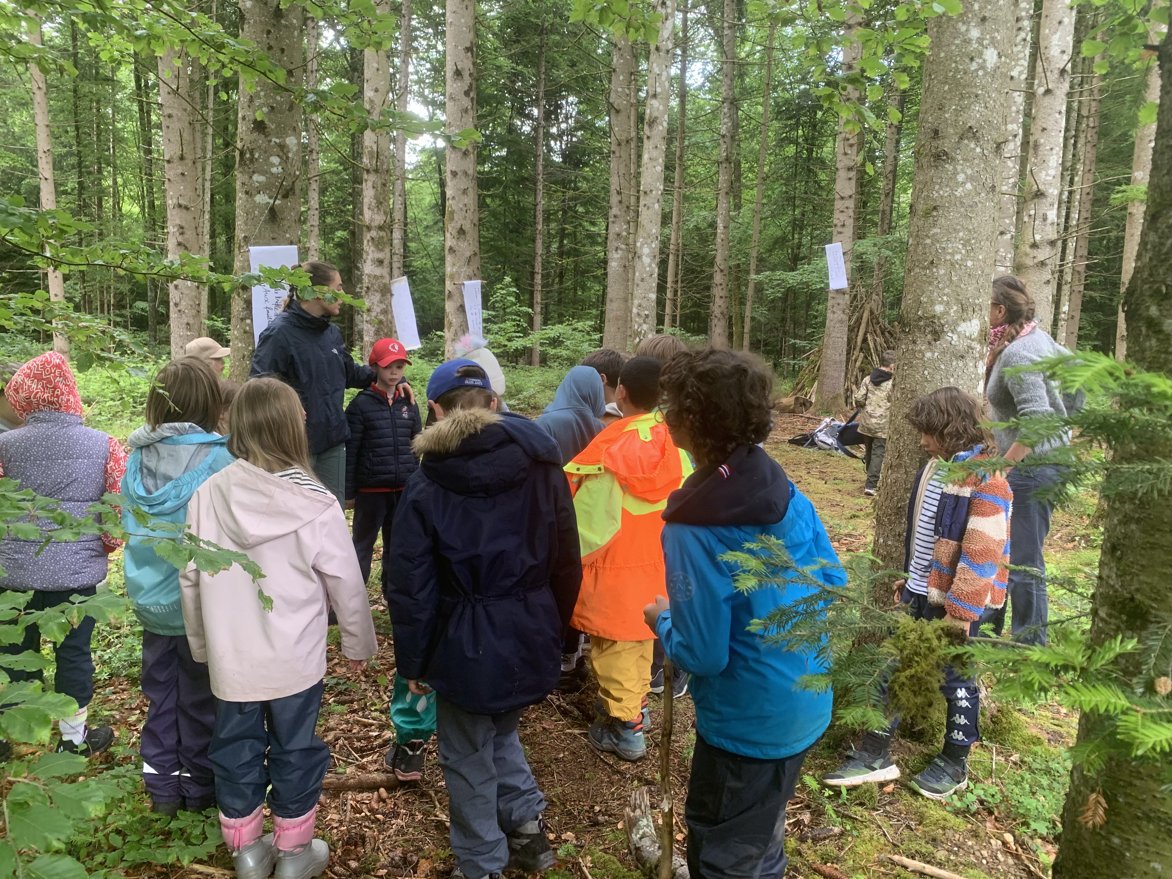 Ecole en forêt - soutenu par le WWF 2